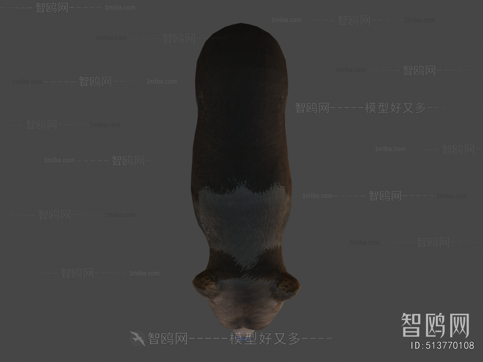 Modern Mammal