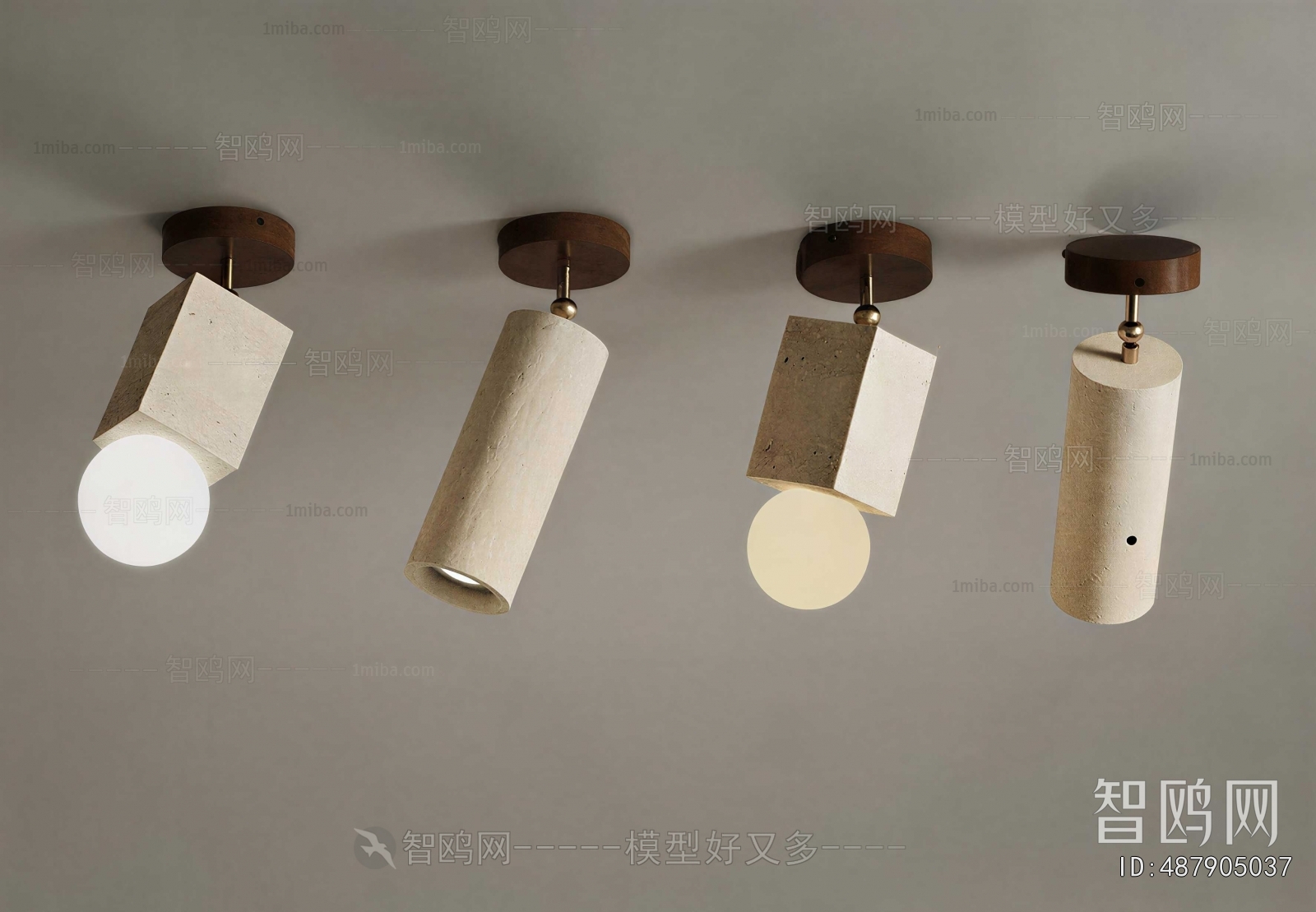 Modern Ceiling Ceiling Lamp