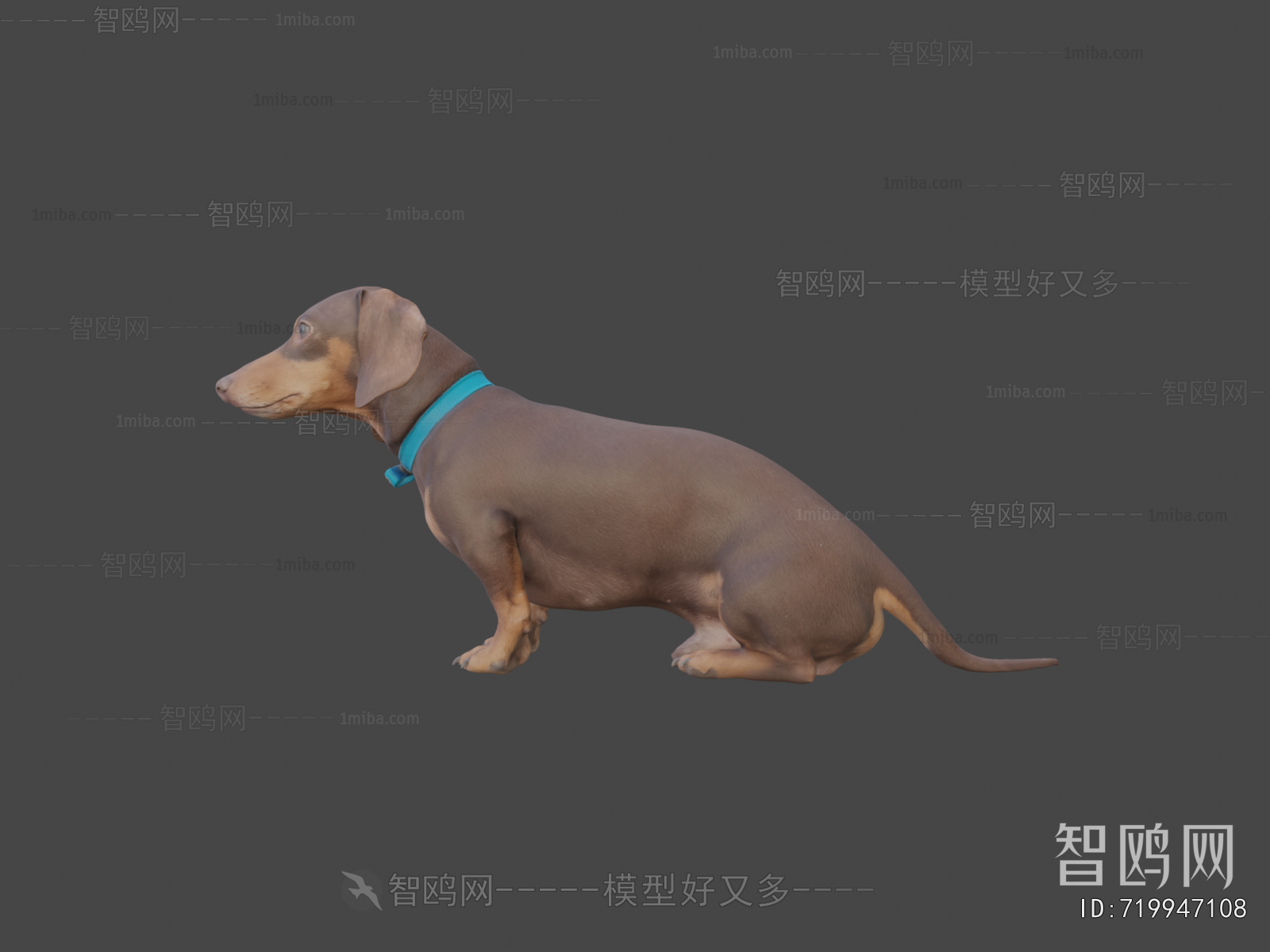 Modern Animal