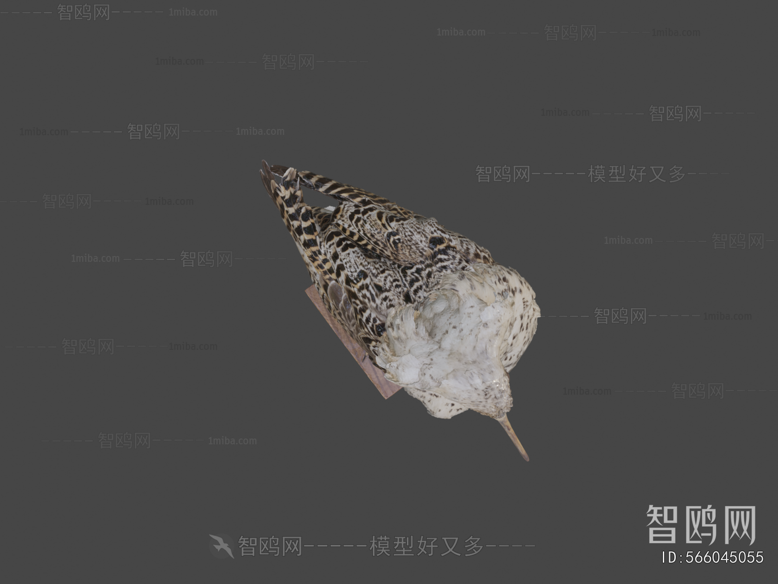 Modern Animal