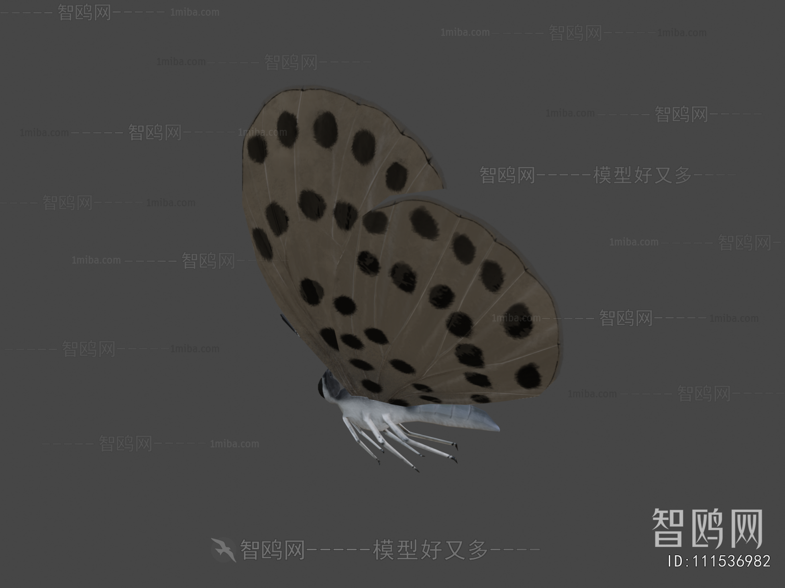 Modern Other Animals