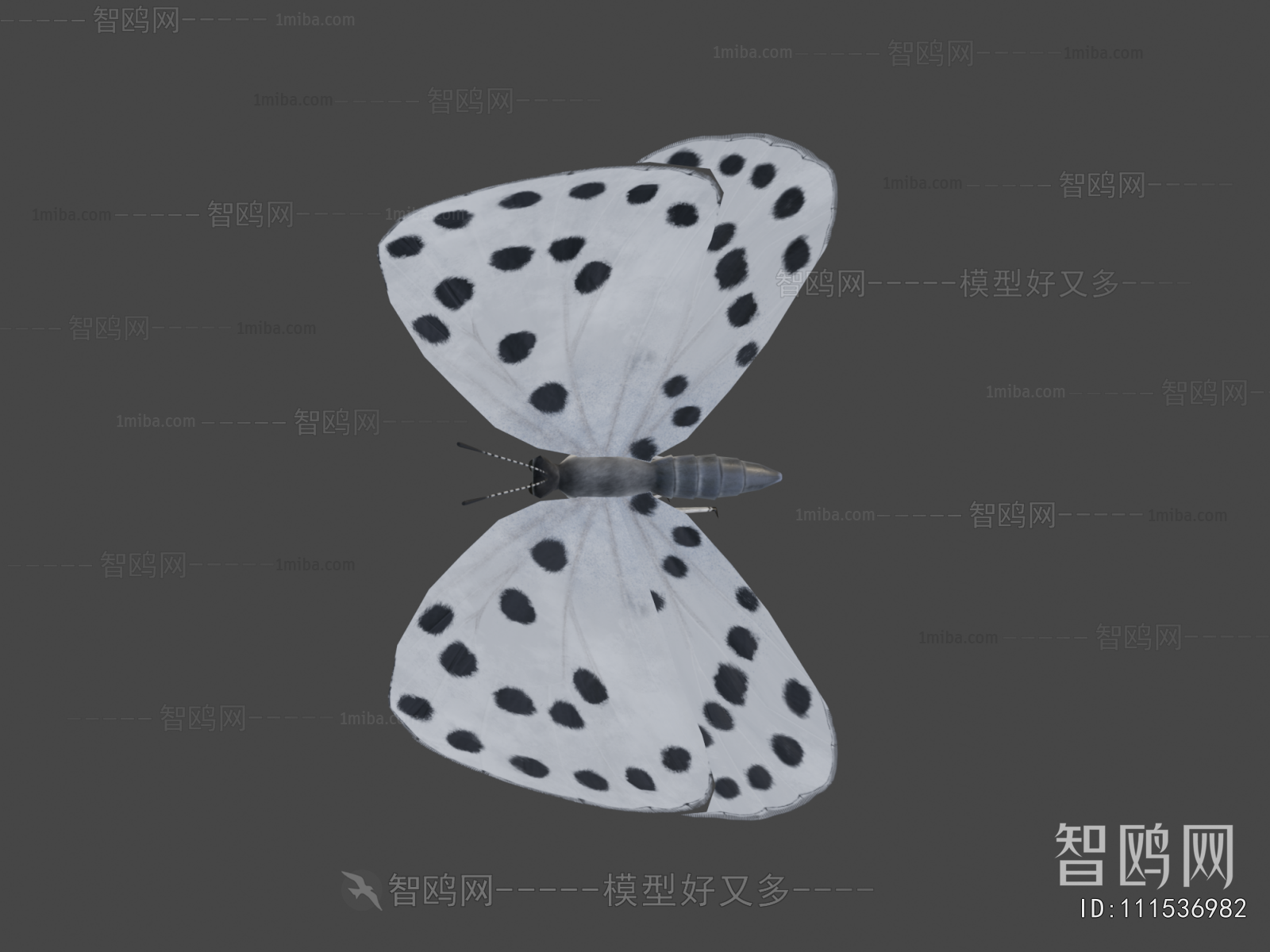 Modern Other Animals