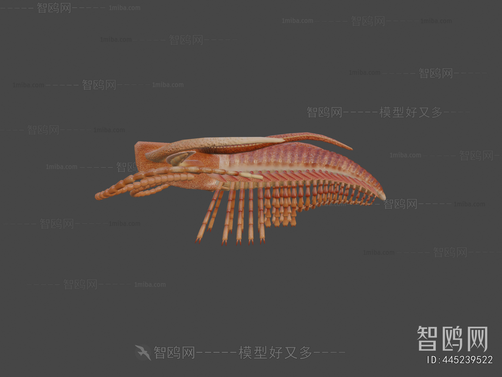 Modern Reptile