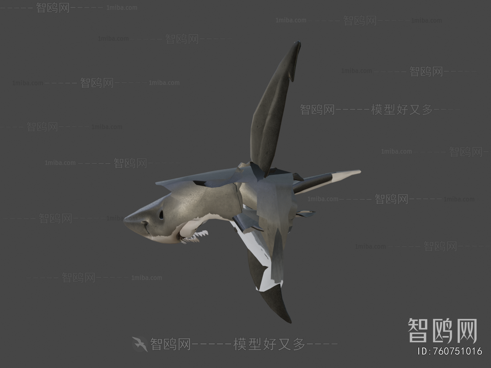 Modern Aquatic Animals