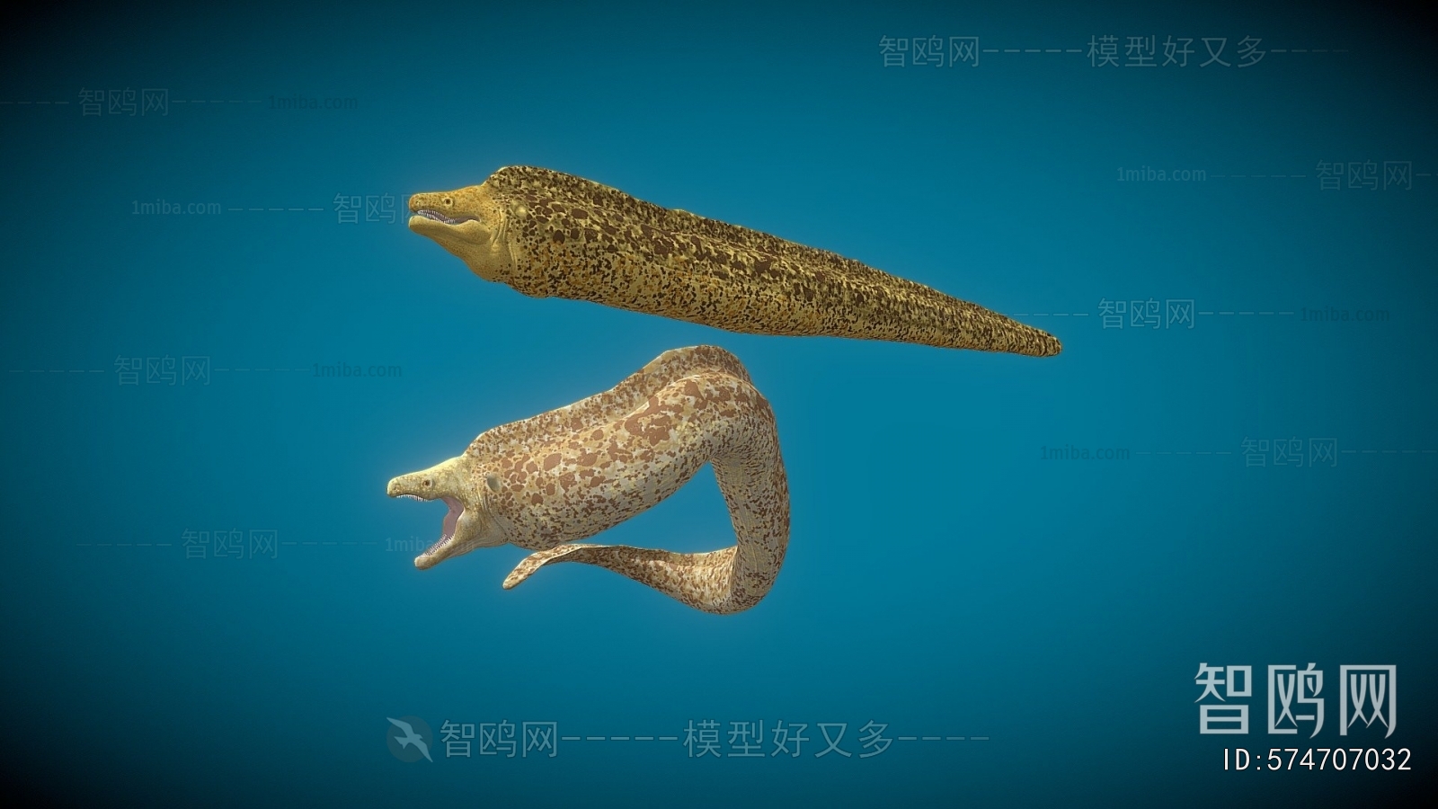 Modern Animal