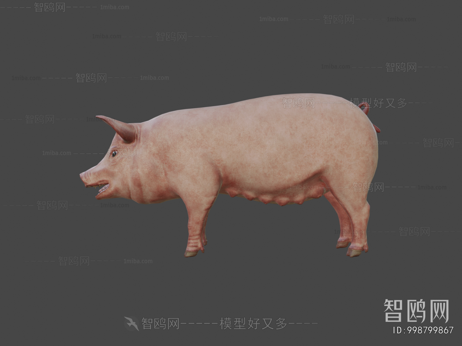 Modern Animal Pig