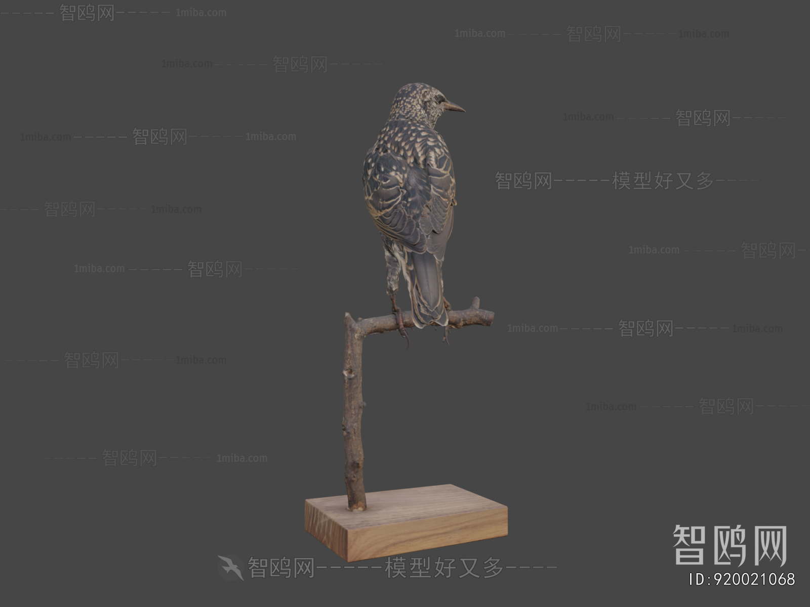 Modern Flying Animals