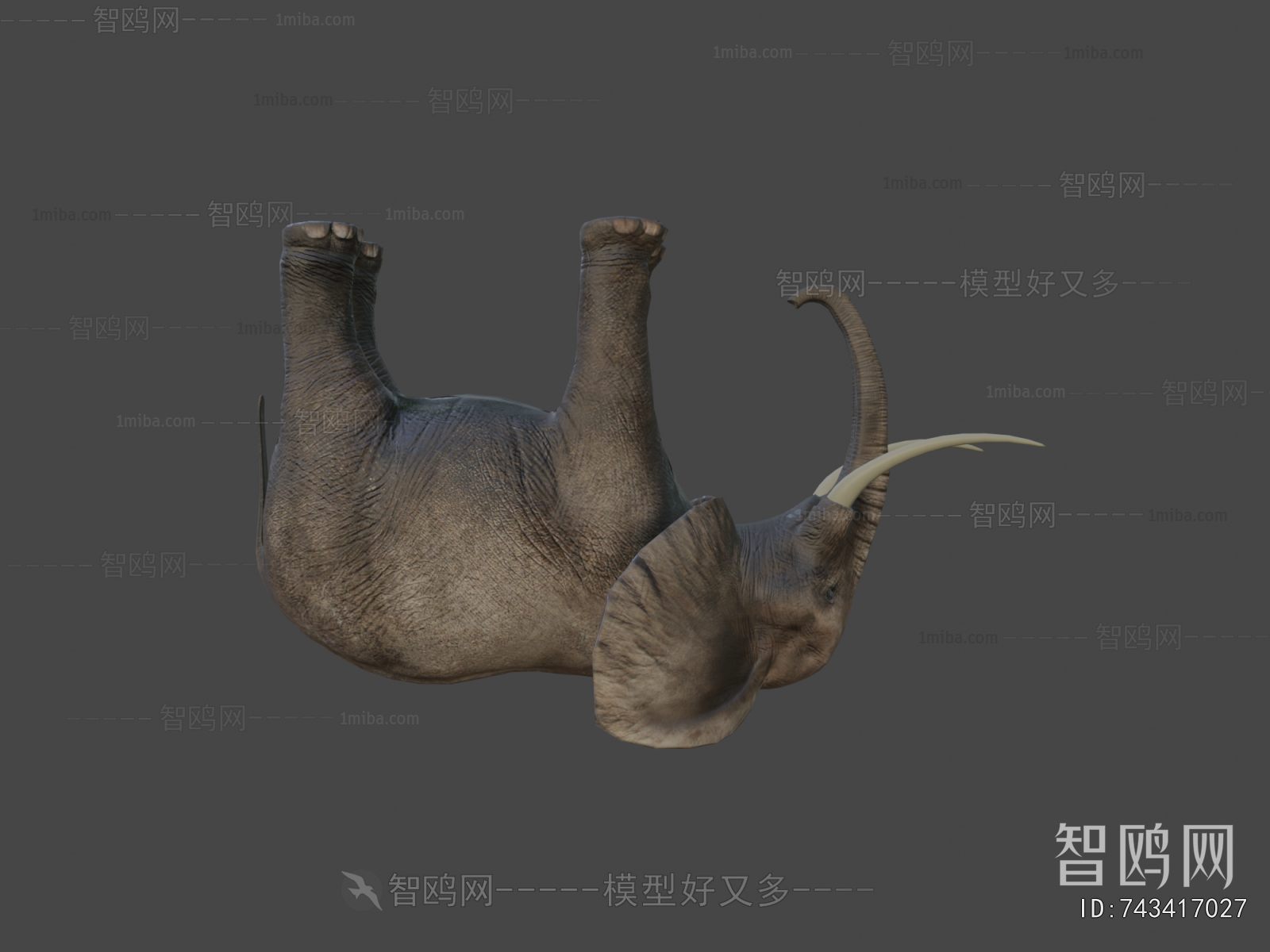 Modern Animal