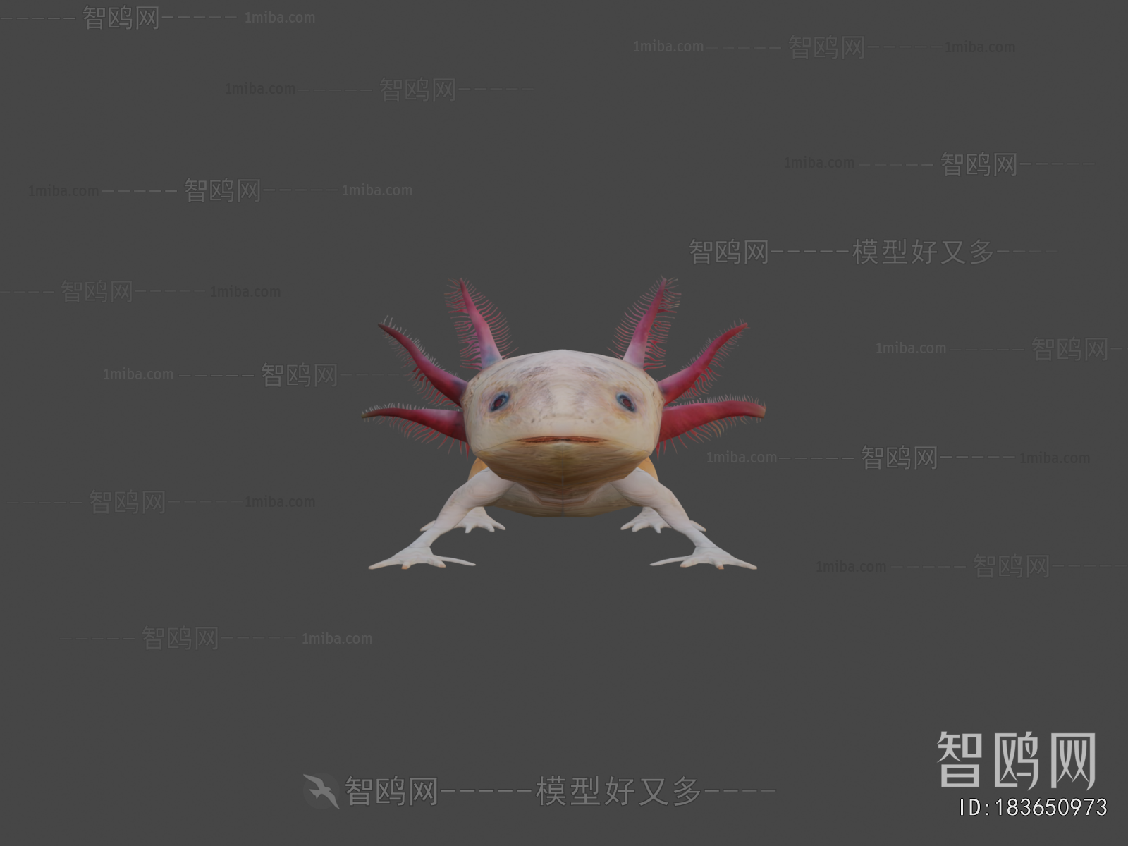 Modern Animal