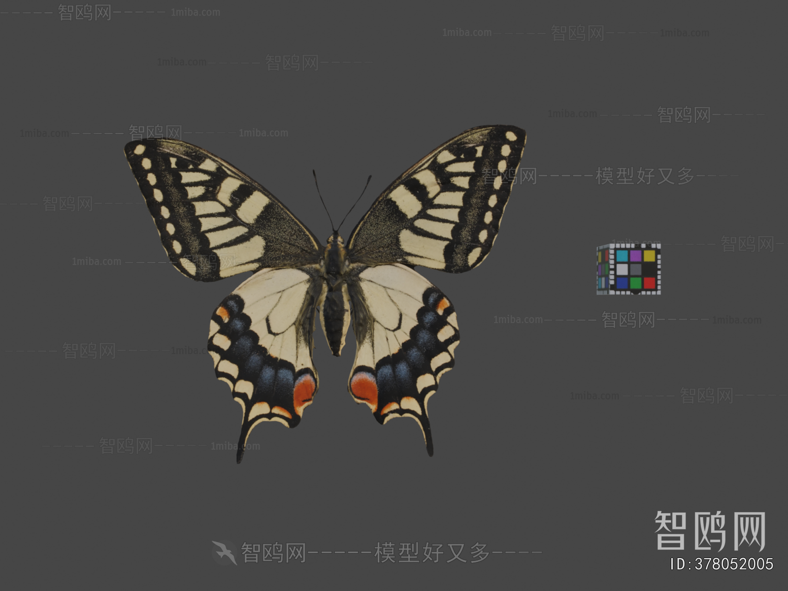 Modern Other Animals
