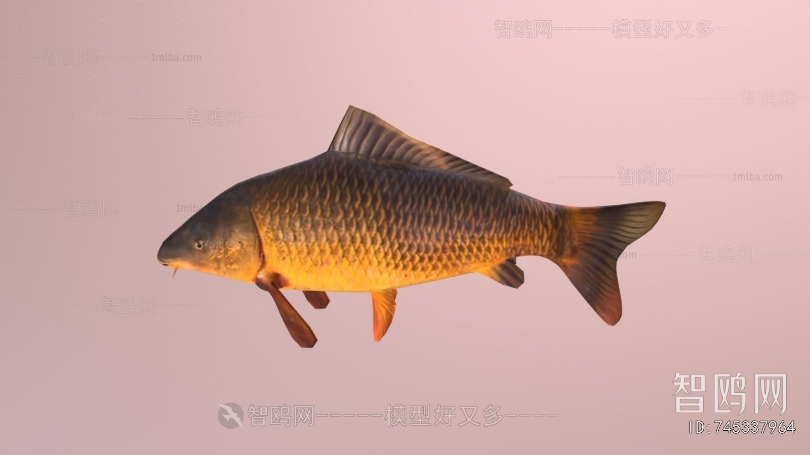 Modern Aquatic Animals