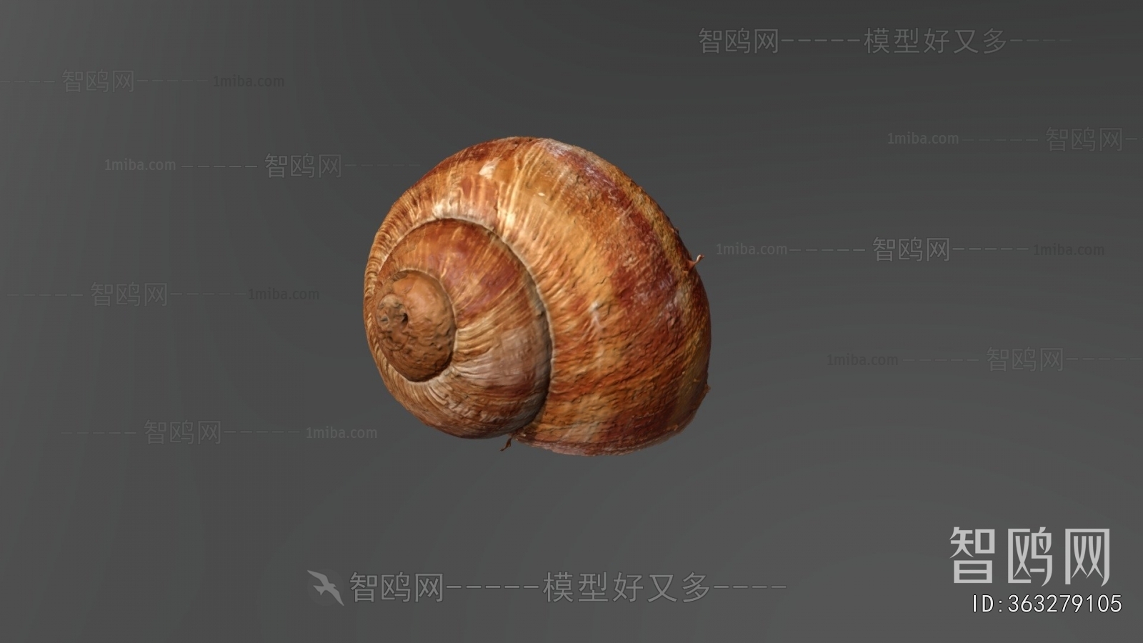 Modern Animal