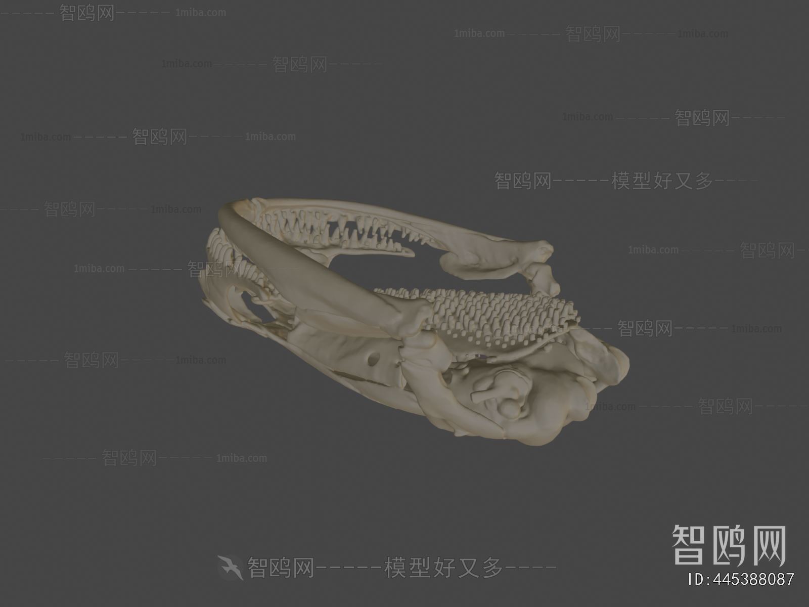 Modern Medical Equipment