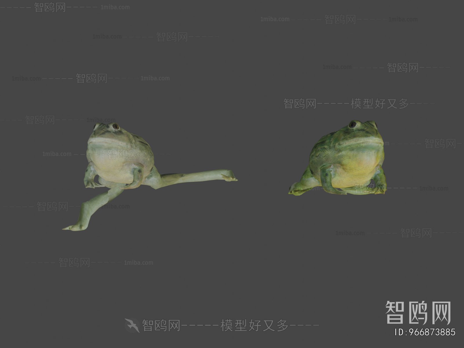 Modern Aquatic Animals