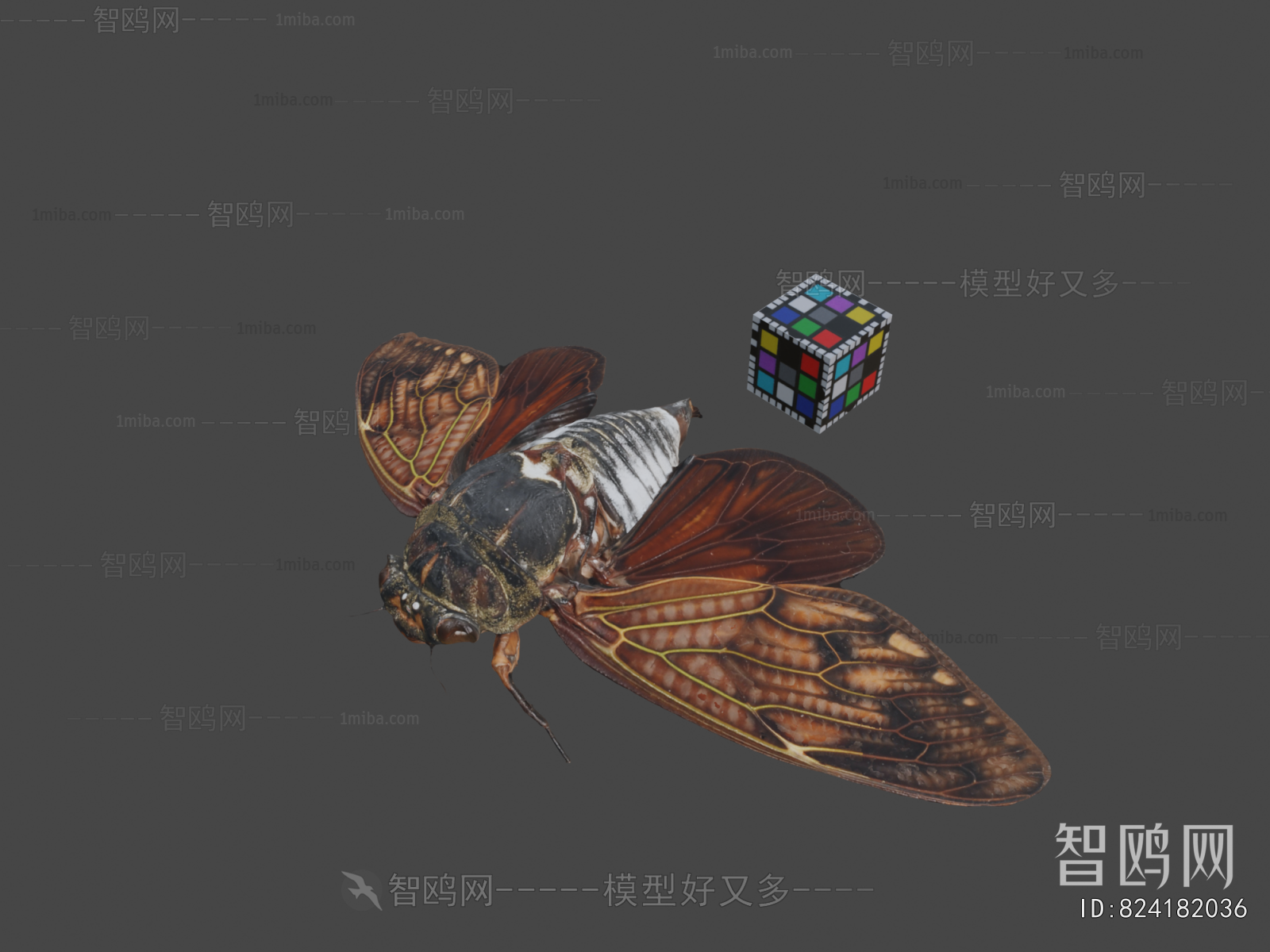 Modern Reptile