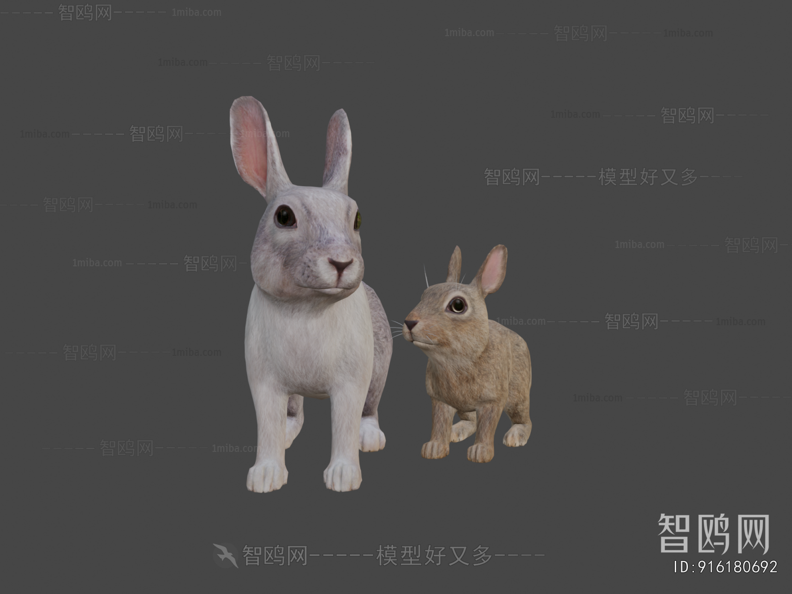 Modern Animal
