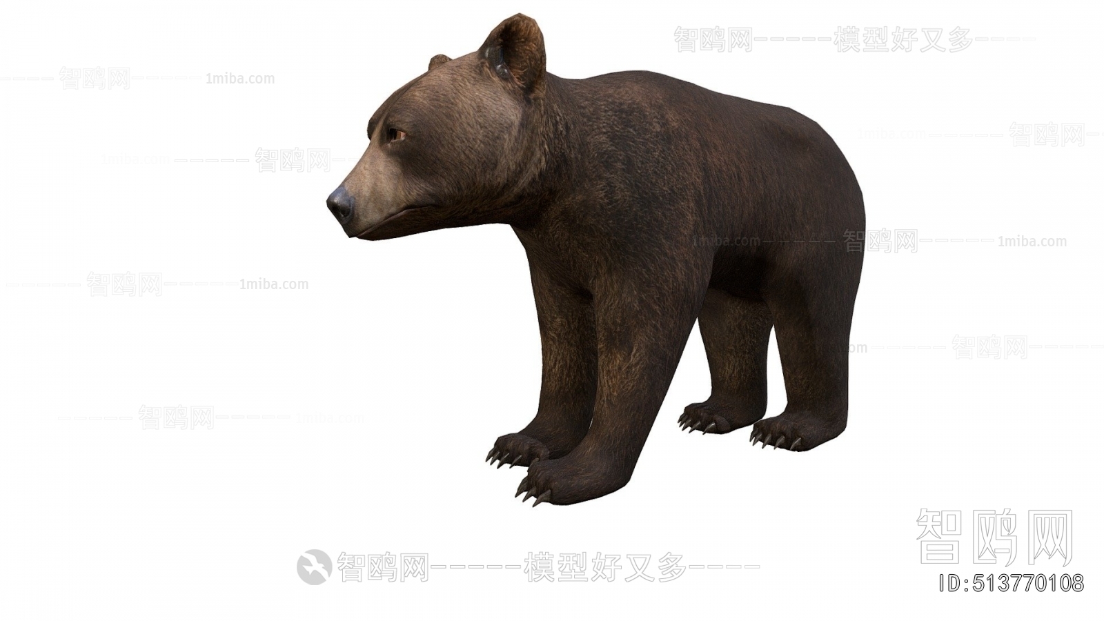 Modern Mammal