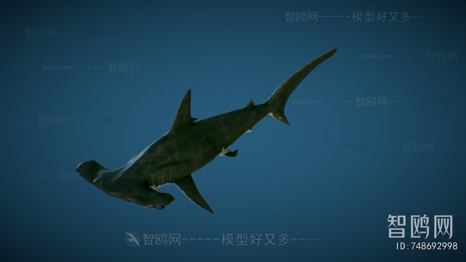 Modern Aquatic Animals