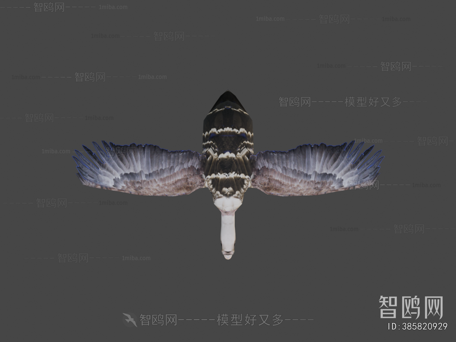 Modern Flying Animals