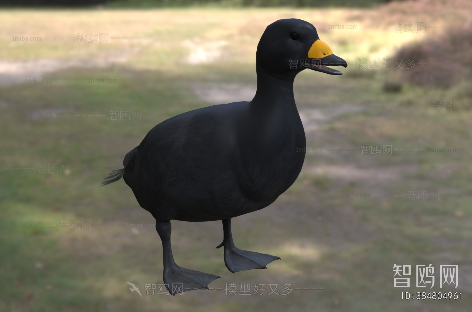 Modern Other Animals