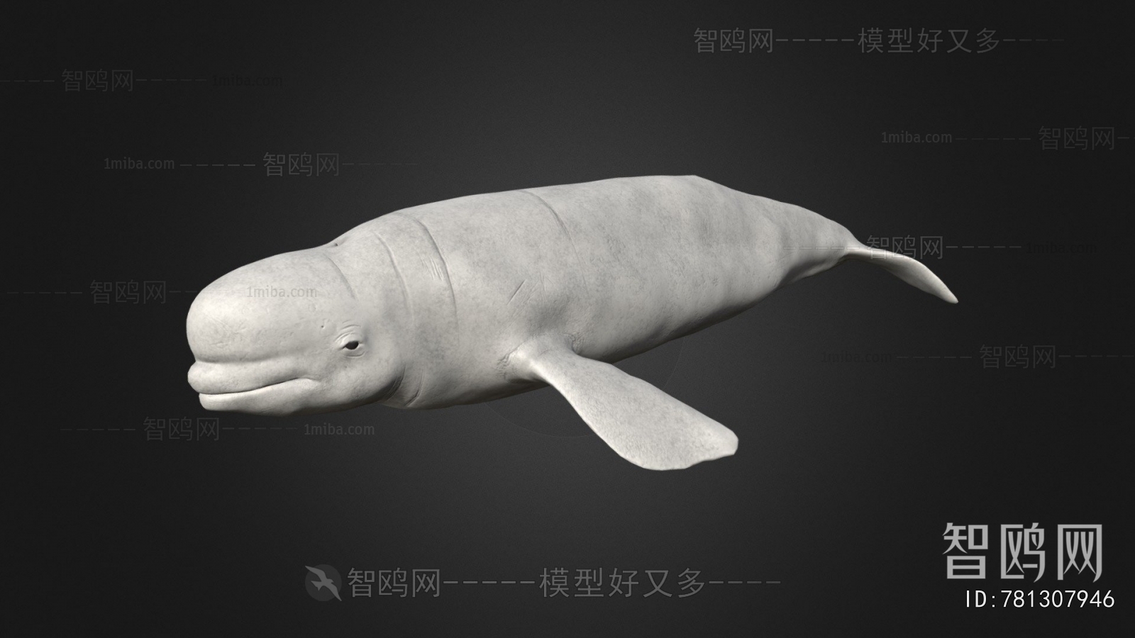 Modern Aquatic Animals