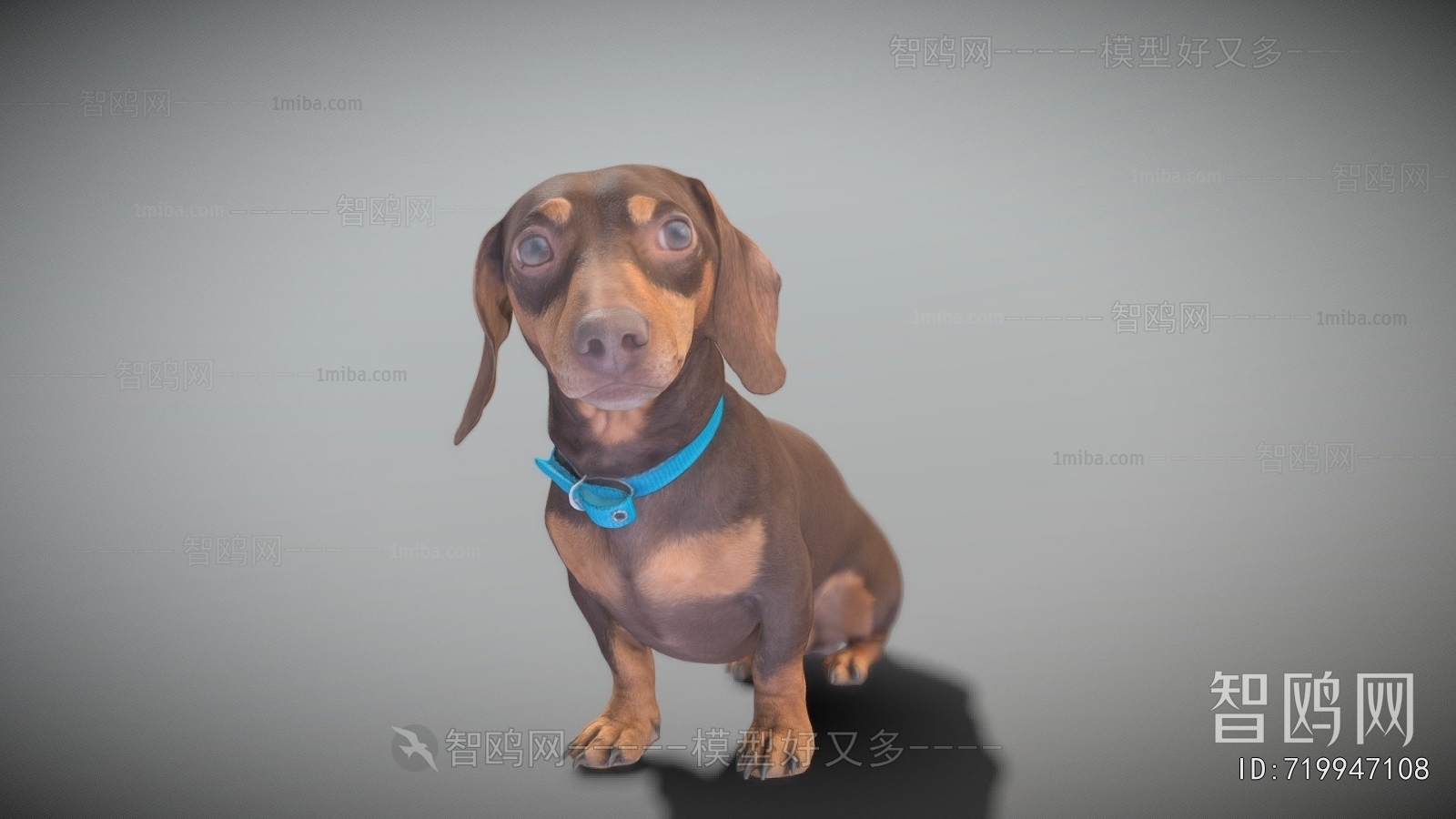 Modern Animal
