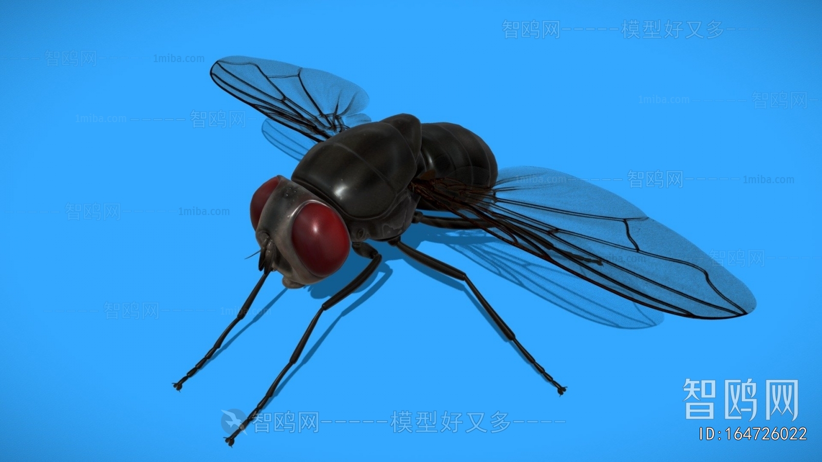 Modern Flying Animals