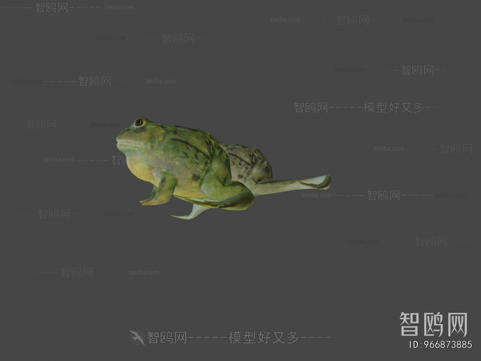 Modern Aquatic Animals