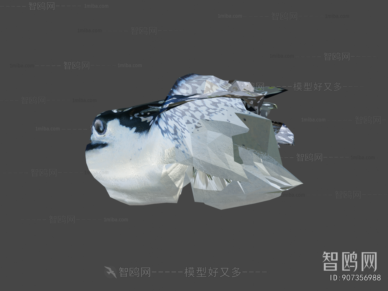 Modern Aquatic Animals