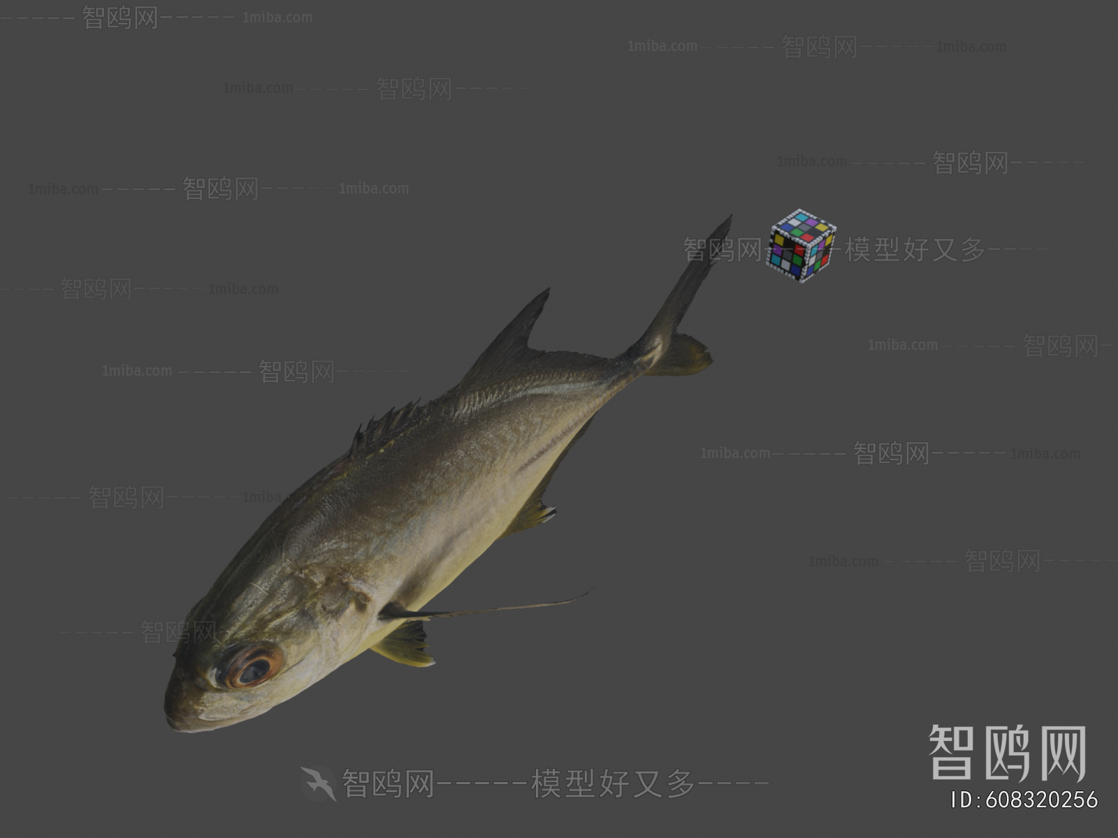Modern Aquatic Animals