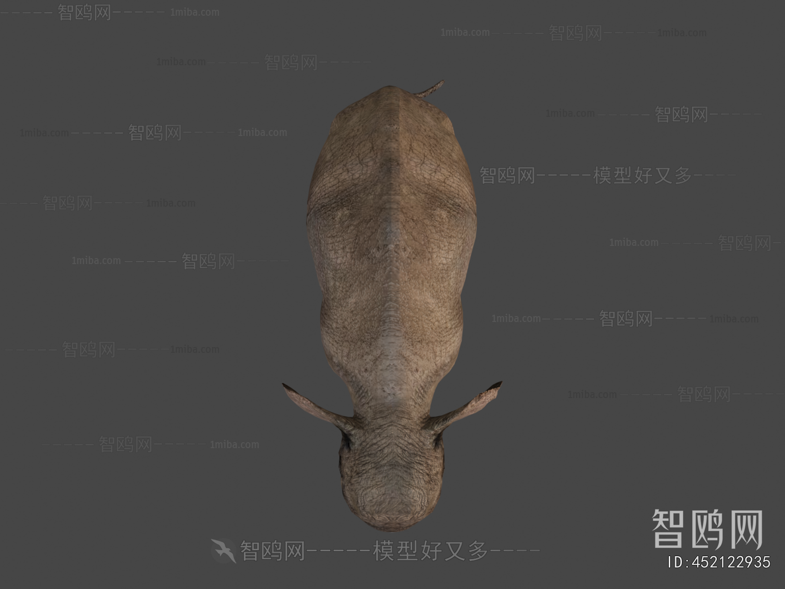 Modern Mammal