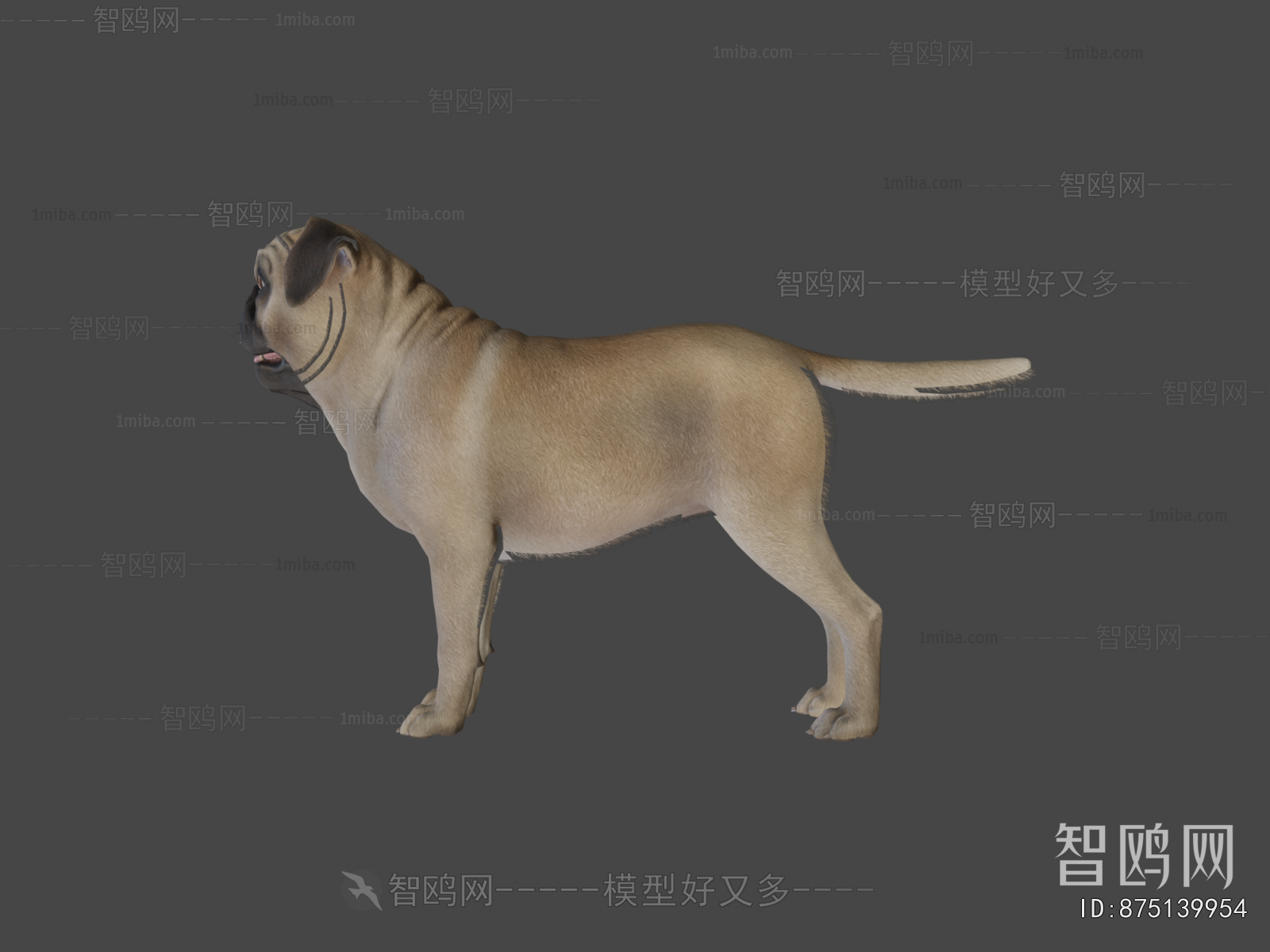 Modern Animal
