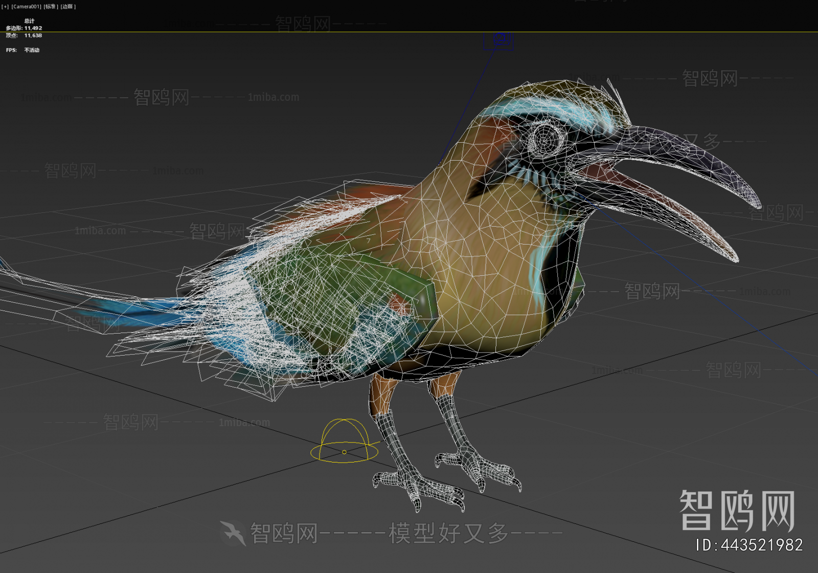 Modern Flying Animals