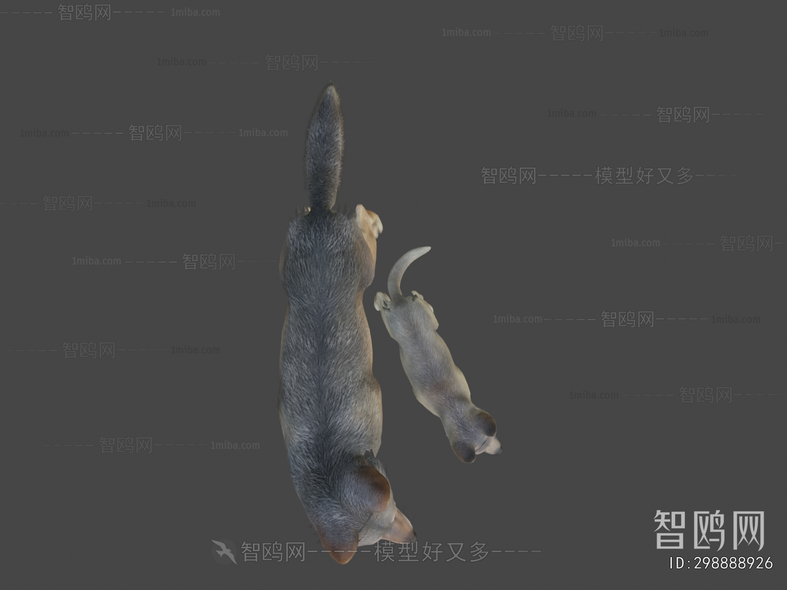 Modern Mammal