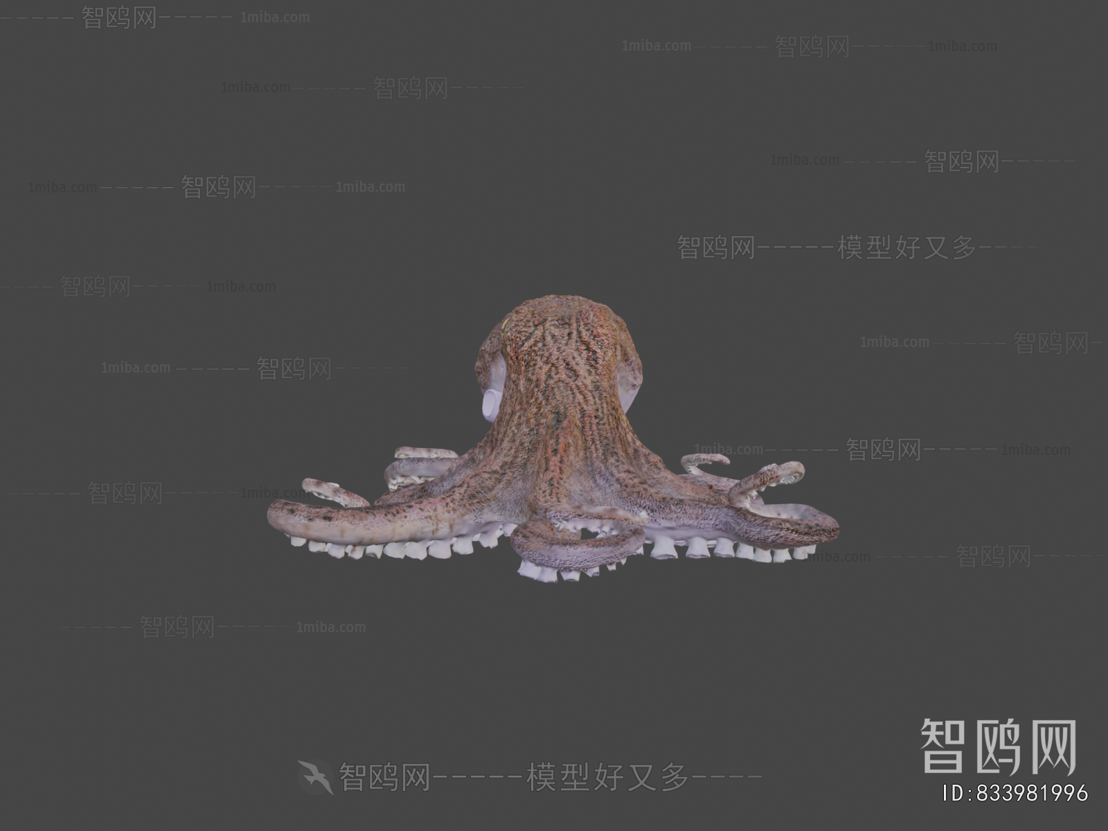 Modern Aquatic Animals