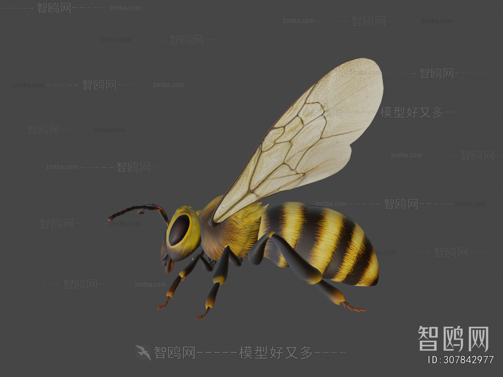Modern Animal