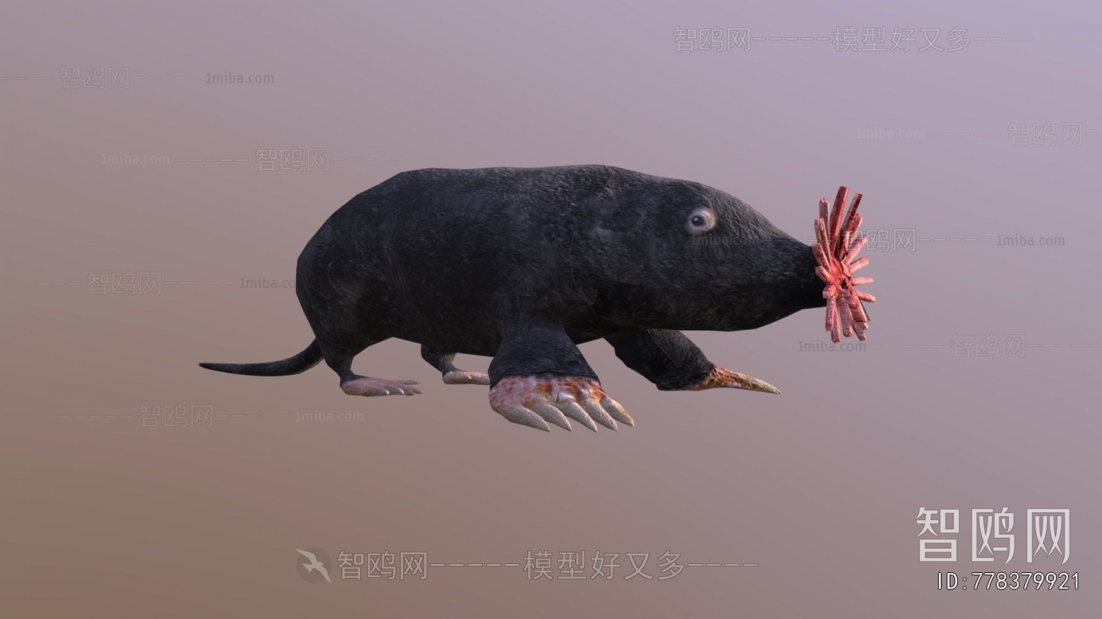 Modern Animal