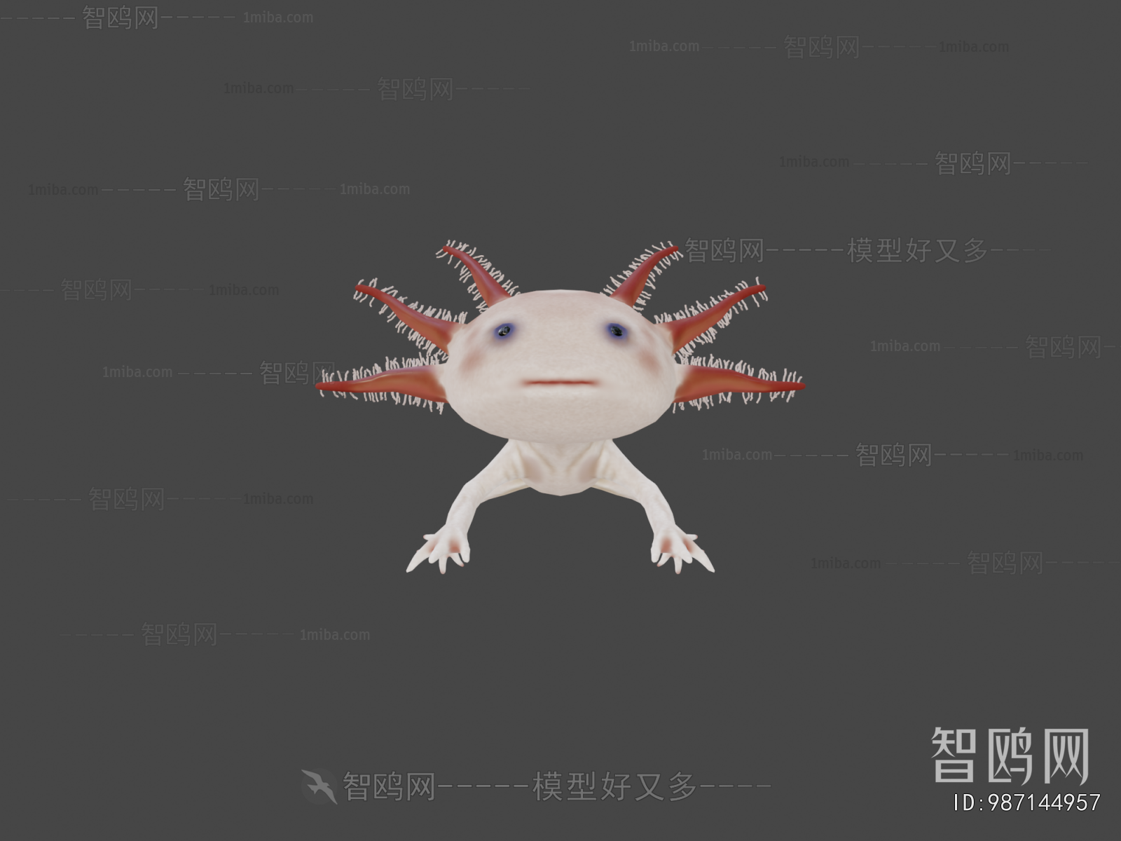 Modern Aquatic Animals
