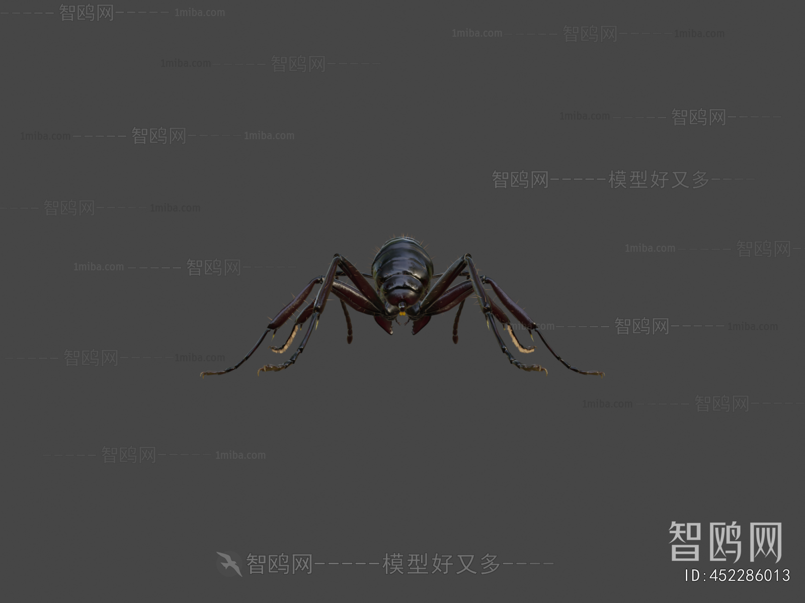 Modern Animal