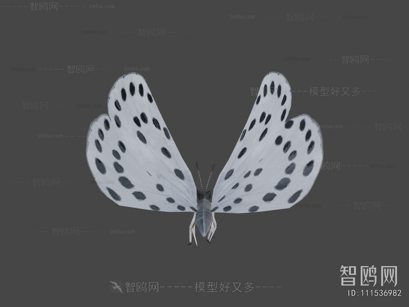 Modern Other Animals