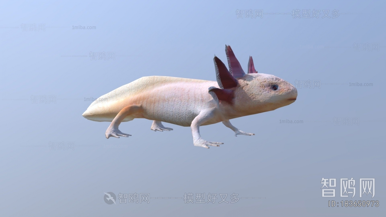 Modern Animal