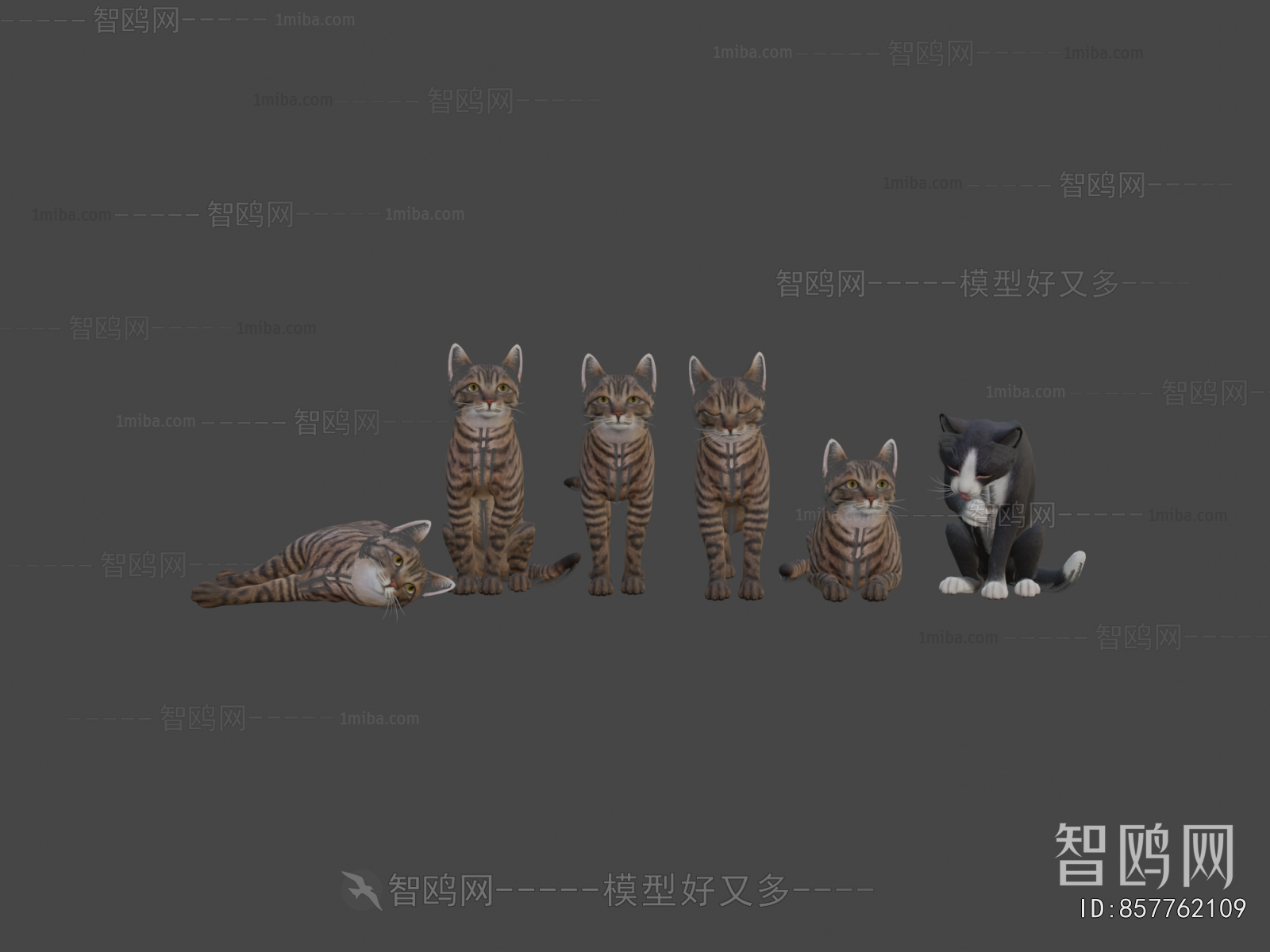Modern Animal Cat