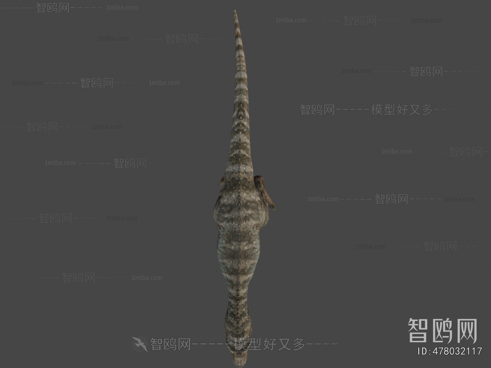 Modern Animal