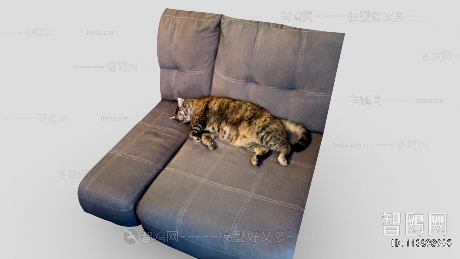 Modern Animal Cat