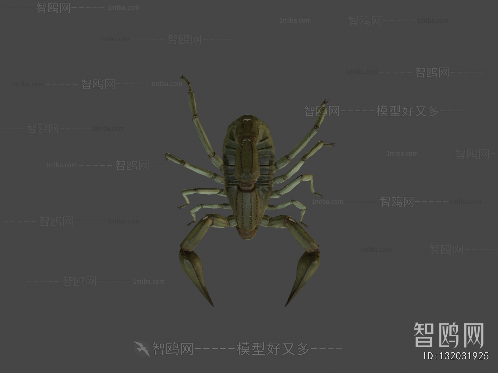 Modern Animal