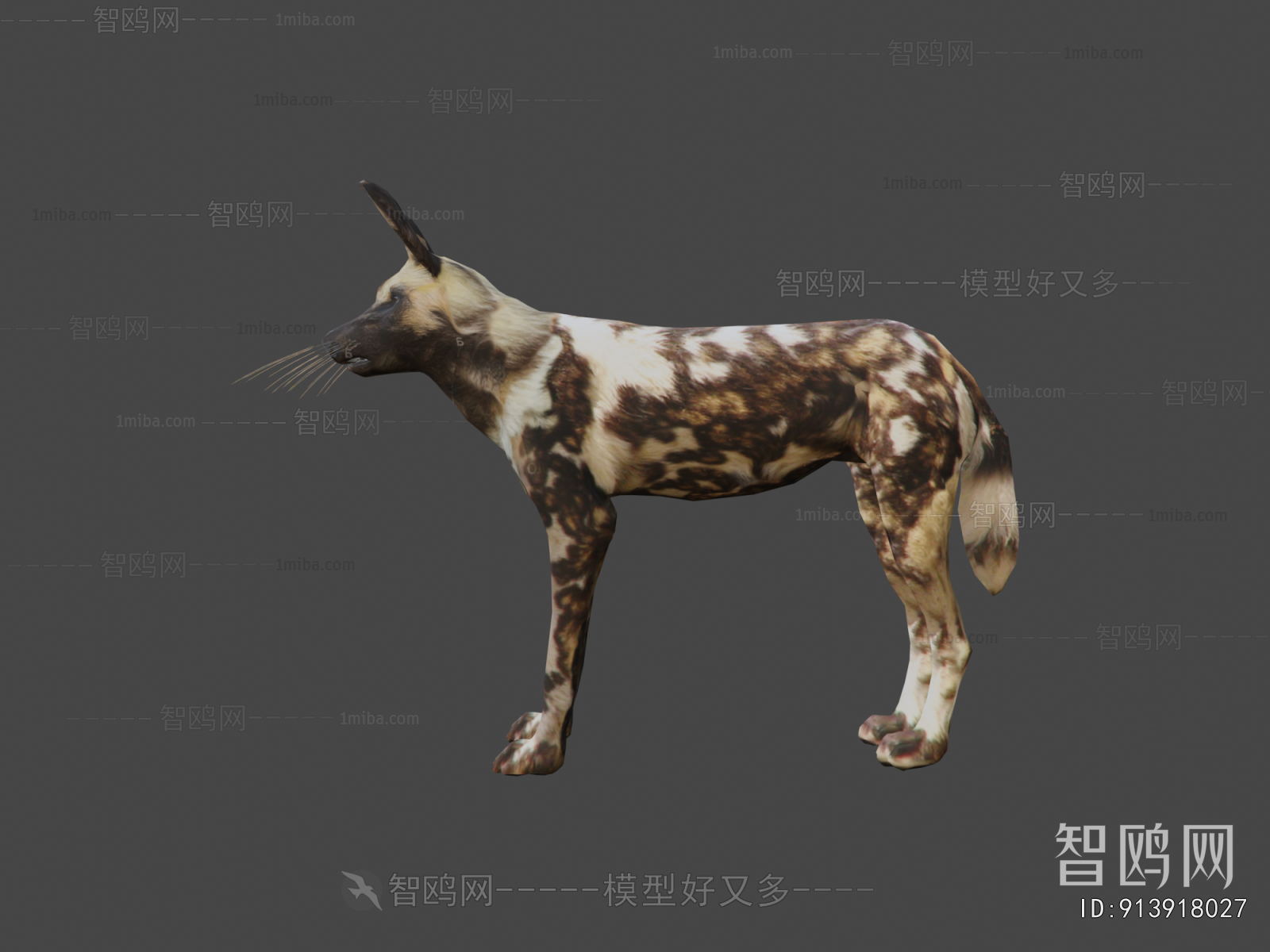 Modern Mammal
