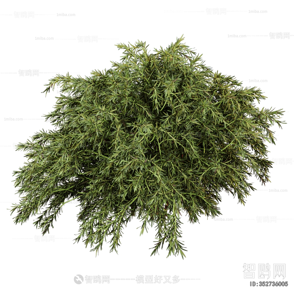 Modern Shrubbery