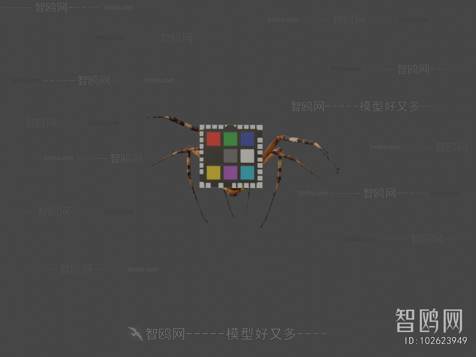 Modern Animal