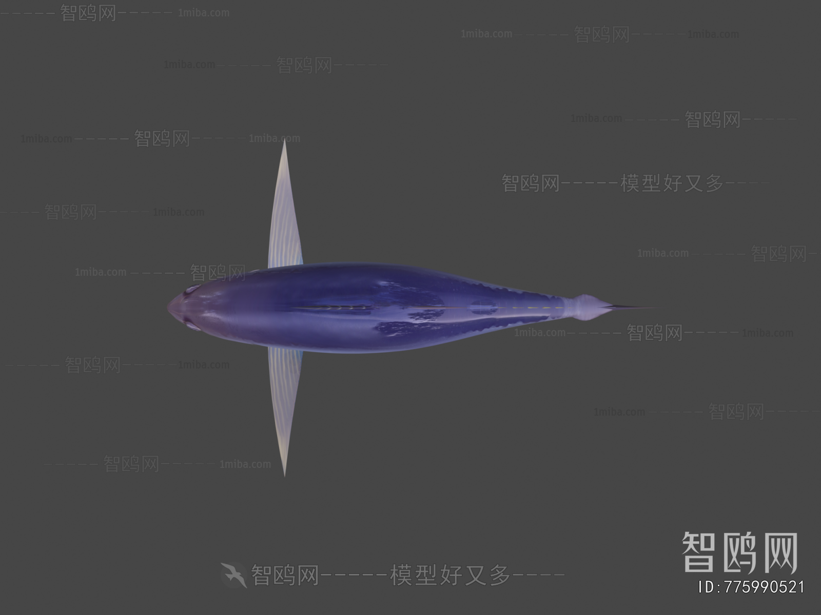 Modern Aquatic Animals