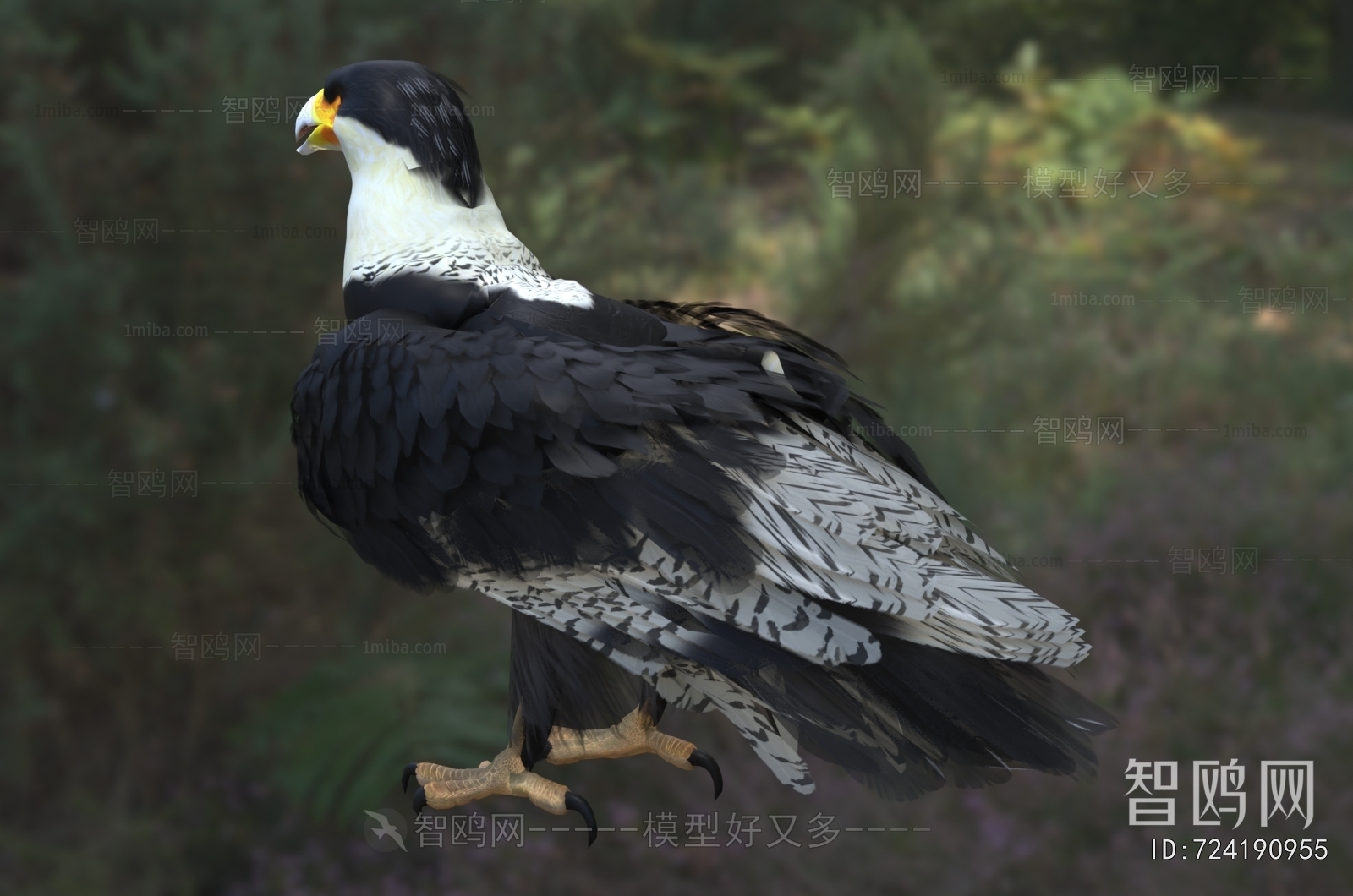 Modern Flying Animals